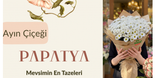 sevgiliye-cicek